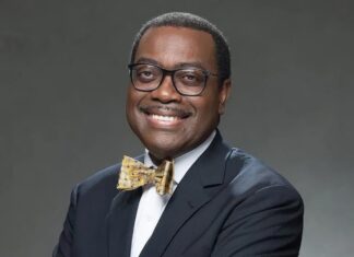 African Development Bank President Dr. Akinwumi A. Adesina on Thursday spoke out on the urgent need to finance climate adaptation