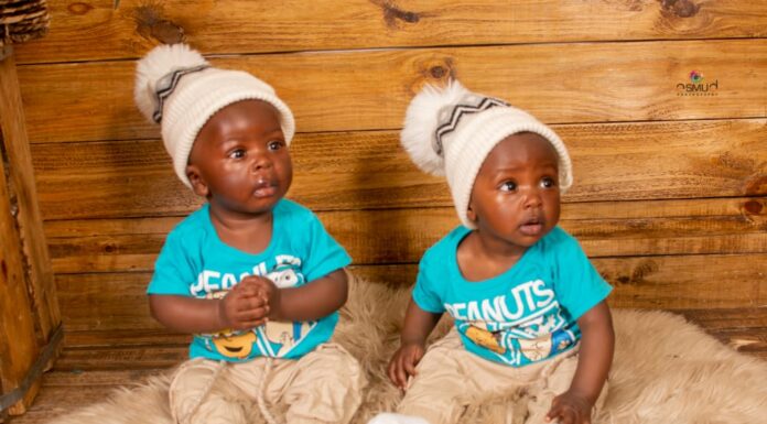Twins born as a result of the IVF programme